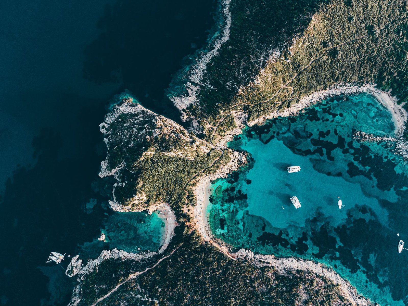Arbitrum Adopts Paxos' USDG as Its Ecosystem Dollar